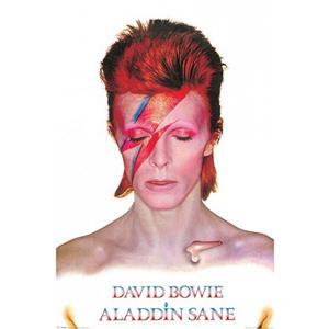 Merkloos Aladdin Sane maxi poster 61 x 91,5 cm -