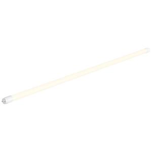 SLV LED-buis- Energielabel: E (A - G) G13 T8 16 W Neutraalwit 1 stuk(s) (Ø x h) 28 mm x 1210 mm