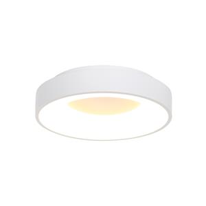 Steinhauer Plafondlamp Ringlede | 1 lichts | Wit