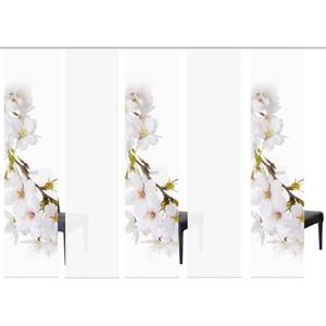 HOME WOHNIDEEN Schiebegardine "KIRANGI 5ER SET", (5 St.), HxB: 245x60