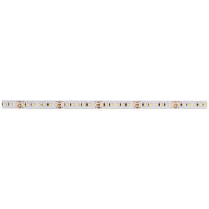 dekolight Deko Light 840379 LED-strip Energielabel: F (A - G) Met open kabeleinde 24 V/DC 5000 mm Warmwit, Koudwit 5 m