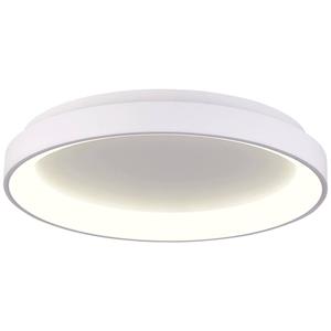dekolight Deko Light Merope Deckenaufbauleuchte LED fest eingebaut 30W EEK: E (A - G) Warmweiß, Neutralweiß