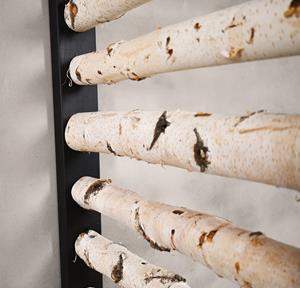 Decoratietakken Berken Roomdivider Rune | Met zwarte omlijsting | H165cm