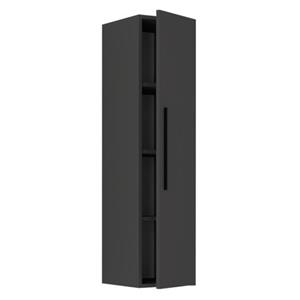 ebuy24 ArilaXL TV Tisch wandschrank 1 Tür anthrazit.
