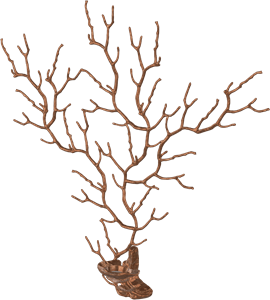 Serip  Sea Fan wandlamp