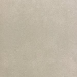 Fap Ceramiche Summer wand- en vloertegel - 120x120cm - gerectificeerd - Natuursteen look - Vento mat (grijs) SW07314285-2