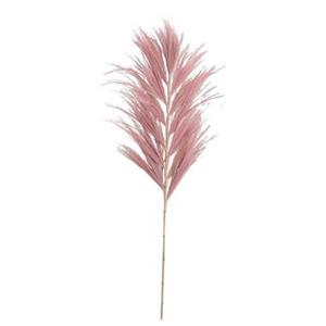 Leen Bakker Droogbloemen Grass plume - oudroze - 118 cm