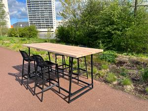 Industrielemeubelshop Douglashouten statafel Marieke met stalen frame