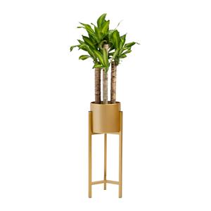 QUVIO Plantenstandaard - 22x22x60 cm - Goud - S