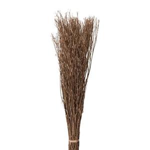 Droogbloemen 80 cm Beige Droogbloemen Droogboeket