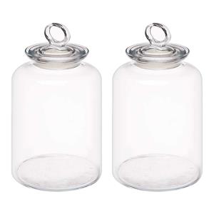 Pasabahce Snoeppot/voorraadpot Megan - 2x - 2600 ml - glas - met luchtdichte deksel - D14 x H25 cm -