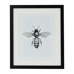 Xenos Fotolijst met passe partout - zwart - 20x25 cm