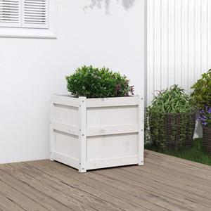 VidaXL Plantenbak 50x50x50 cm massief grenenhout wit