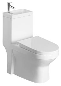 Sapho Aqualine Hygie rimfree staand toilet met wastafel wit