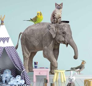 Tenstickers Diverse dieren wild dier zelfklevende sticker