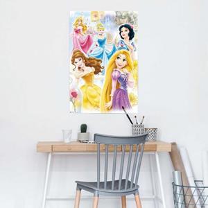Reinders! Poster Disney - princess