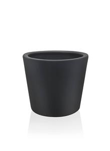 Mioli Decor Decoratieve Kera | 