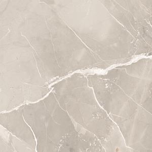 Energieker Vloer- en Wandtegel  Thunder Marmerlook 120x120 cm Mat Roar 