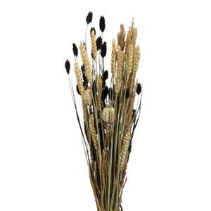 Leen Bakker Droogbloemen boeket mix - zwart - klein
