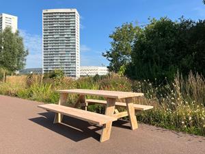 Industrielemeubelshop Douglashouten picknicktafel Petra