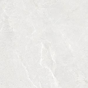 Energieker Vloertegel  Wonder 60x60 cm Mat Bright 