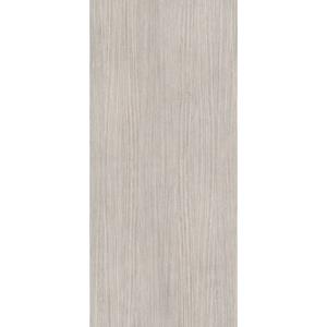 Douglas & Jones Vloertegel  120x280 cm Magnum Plank 4 