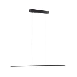 Paul Neuhaus Design hanglamp Pure Lite 100cm antraciet 8375-13