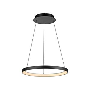 Paul Neuhaus Ronde hanglamp Hoop zwart 2851-18