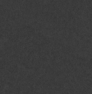 Dutch Wallcoverings Sauvage Uni - Zwart