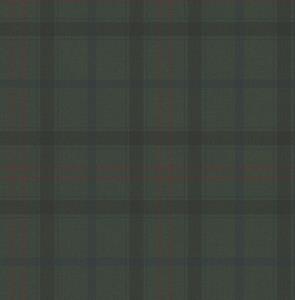 Dutch Wallcoverings Sauvage Ruit - Groen/Rood