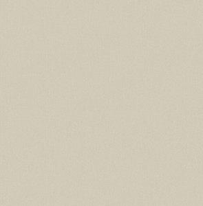 Dutch Wallcoverings Euphorie - Uni - Beige