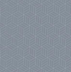 Dutch Wallcoverings Euphorie - Dessin - Blauwgrijs/Zilver