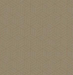 Dutch Wallcoverings Euphorie - Dessin - Beige/Koper