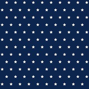 Dutch Wallcoverings Joy - Sterren - Blauw/Wit