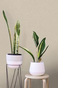 Dutch Wallcoverings Patagonia - Pinto - Beige
