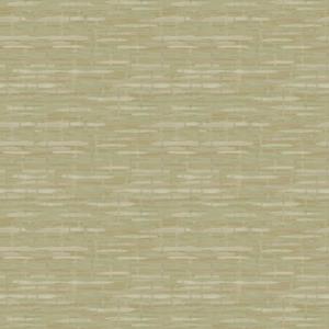 Dutch Wallcoverings Designology - Derwent Olive - Groen
