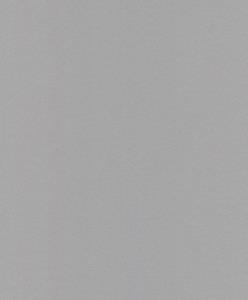 Dutch Wallcoverings Asperia - Uni - Zilver
