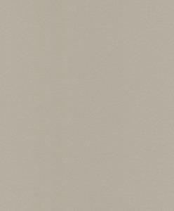 Dutch Wallcoverings Asperia - Uni - Goudbeige