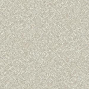 Dutch Wallcoverings Level Two - Agave - Beige