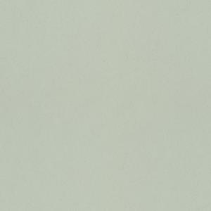 Dutch Wallcoverings Fagelsang - Uni Mint