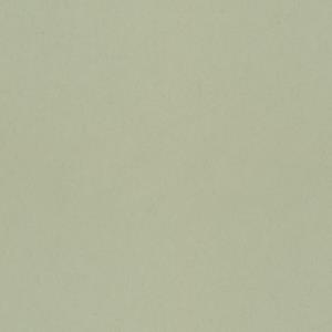 Dutch Wallcoverings Klara & Tove - Uni Pistachio - Groen