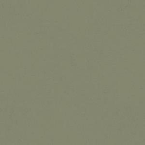 Dutch Wallcoverings Langenas - Forest - Groen