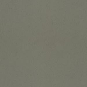 Dutch Wallcoverings Kulör - Uni Needle