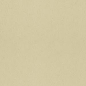Dutch Wallcoverings Langenas - Fennel - Beige