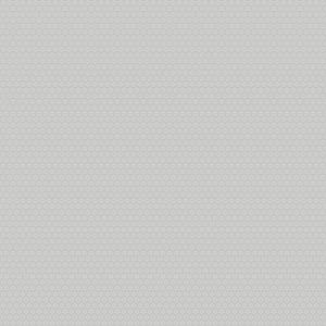 Dutch Wallcoverings Morgongava - Stella Grey - Grijs