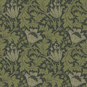 Dutch Wallcoverings Hidden Treasures - Anemone Grn/Zwart
