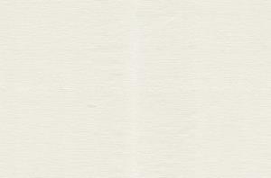Dutch Wallcoverings Roberto Cavalli 9 - Uni - Wit