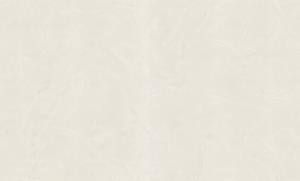 Dutch Wallcoverings Blumarine 5 - 45029007