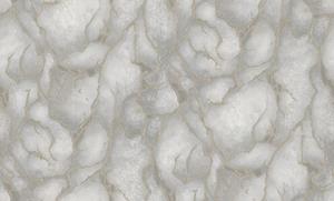 Dutch Wallcoverings Yudashkin 5 10X1,06M - Grijs/Goud