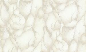 Dutch Wallcoverings Yudashkin 5 10X1,06M - Beige/Zilver